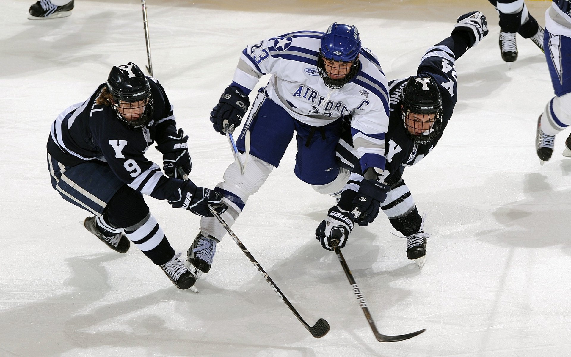 半岛体育APP -公牛前途光明!,Ning新星刷新纪录表现突出气势如虹延续